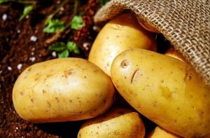 2008: The International Year of the Potato
